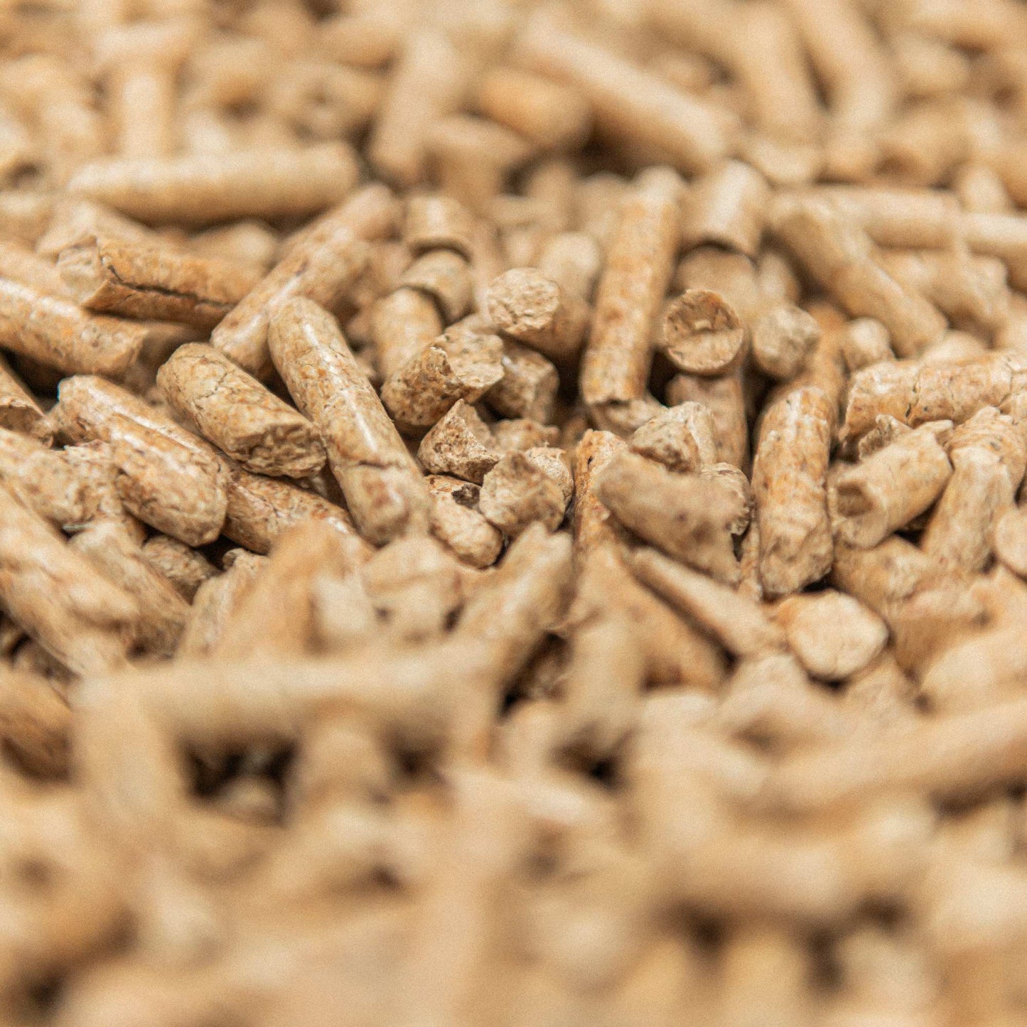 Catpell 6mm Pine Pellet in 15 KG Bag